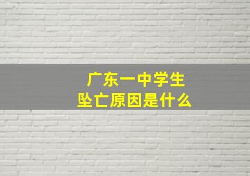 广东一中学生坠亡原因是什么