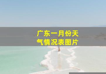 广东一月份天气情况表图片