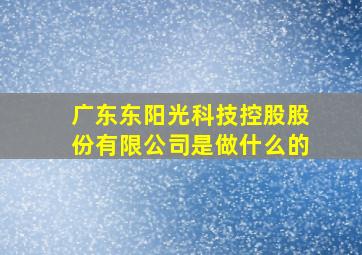 广东东阳光科技控股股份有限公司是做什么的