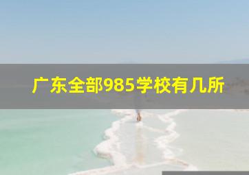 广东全部985学校有几所