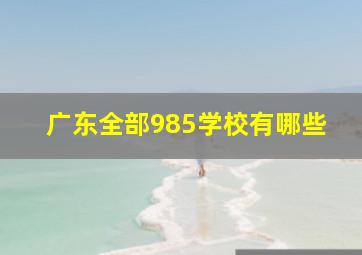 广东全部985学校有哪些