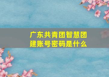 广东共青团智慧团建账号密码是什么