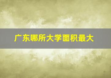 广东哪所大学面积最大