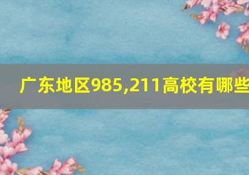 广东地区985,211高校有哪些