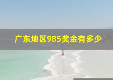 广东地区985奖金有多少