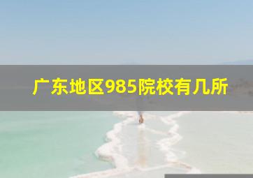 广东地区985院校有几所