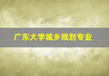 广东大学城乡规划专业