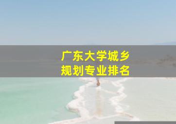 广东大学城乡规划专业排名