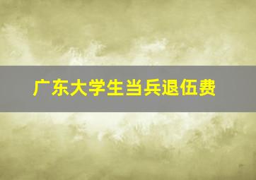 广东大学生当兵退伍费