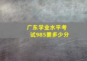 广东学业水平考试985要多少分