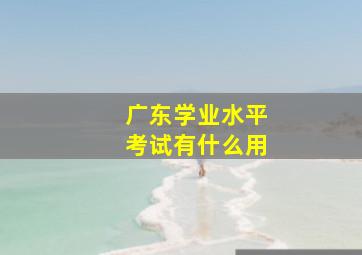 广东学业水平考试有什么用