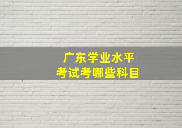 广东学业水平考试考哪些科目