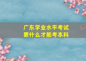 广东学业水平考试要什么才能考本科