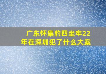 广东怀集豹四坐牢22年在深圳犯了什么大案