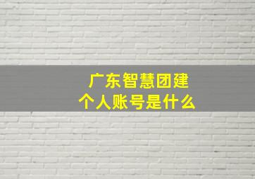 广东智慧团建个人账号是什么