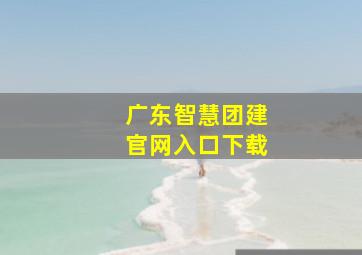 广东智慧团建官网入口下载