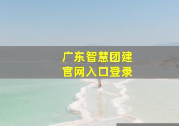 广东智慧团建官网入口登录