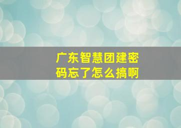 广东智慧团建密码忘了怎么搞啊