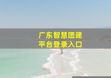 广东智慧团建平台登录入口