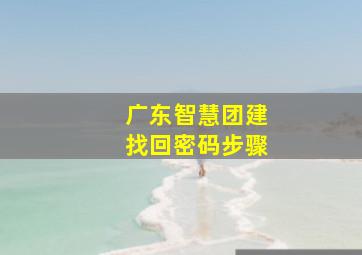 广东智慧团建找回密码步骤