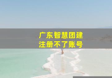 广东智慧团建注册不了账号