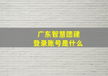 广东智慧团建登录账号是什么