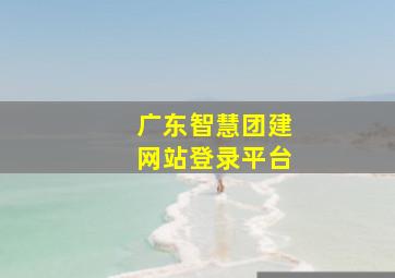 广东智慧团建网站登录平台