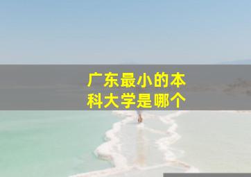 广东最小的本科大学是哪个