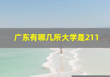 广东有哪几所大学是211