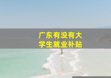 广东有没有大学生就业补贴