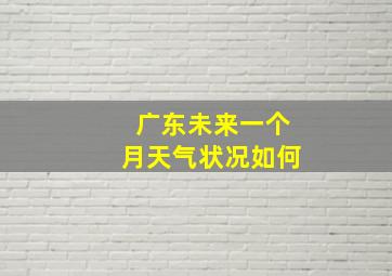 广东未来一个月天气状况如何