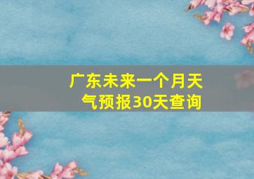 广东未来一个月天气预报30天查询