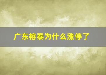 广东榕泰为什么涨停了