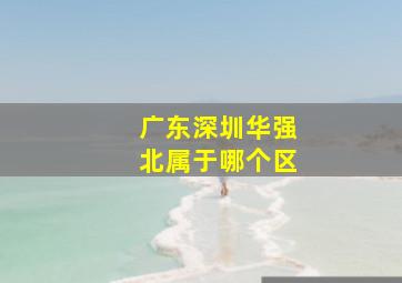 广东深圳华强北属于哪个区