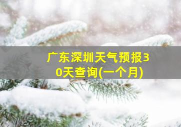 广东深圳天气预报30天查询(一个月)