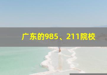 广东的985、211院校