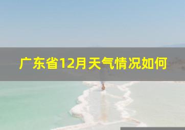 广东省12月天气情况如何