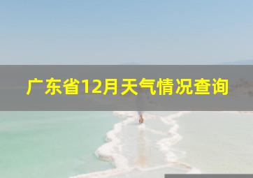 广东省12月天气情况查询