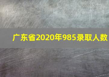 广东省2020年985录取人数