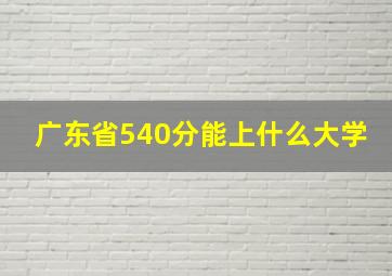 广东省540分能上什么大学