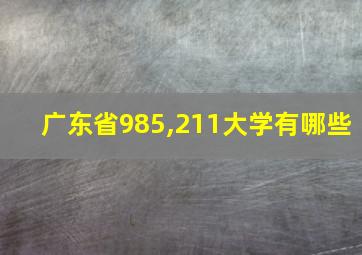 广东省985,211大学有哪些