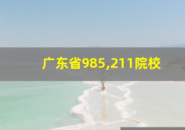 广东省985,211院校