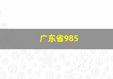 广东省985