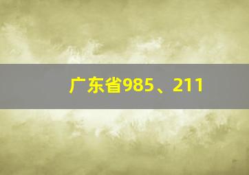 广东省985、211