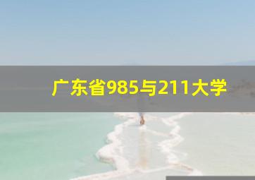 广东省985与211大学