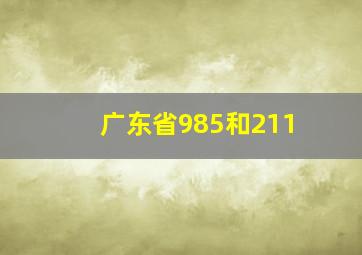 广东省985和211