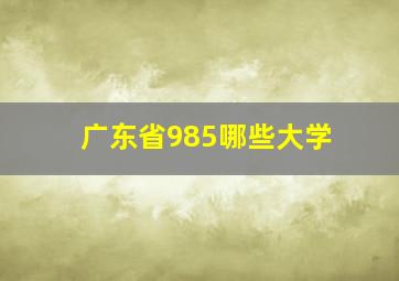 广东省985哪些大学