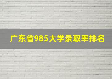 广东省985大学录取率排名