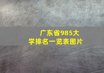 广东省985大学排名一览表图片