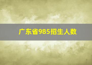 广东省985招生人数